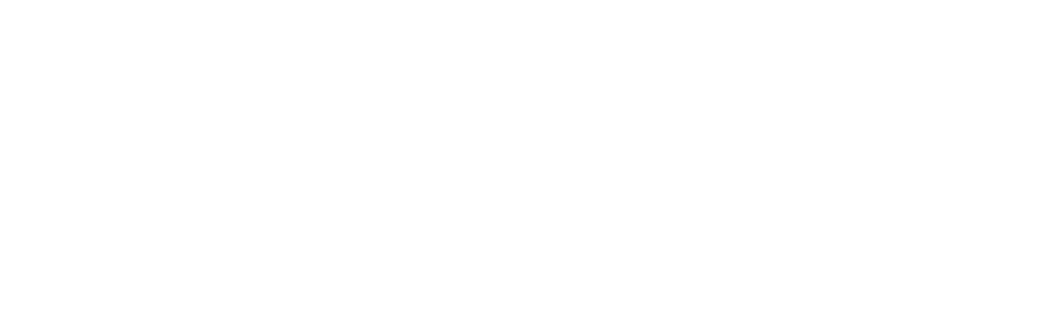 What is a Castellated Beam?